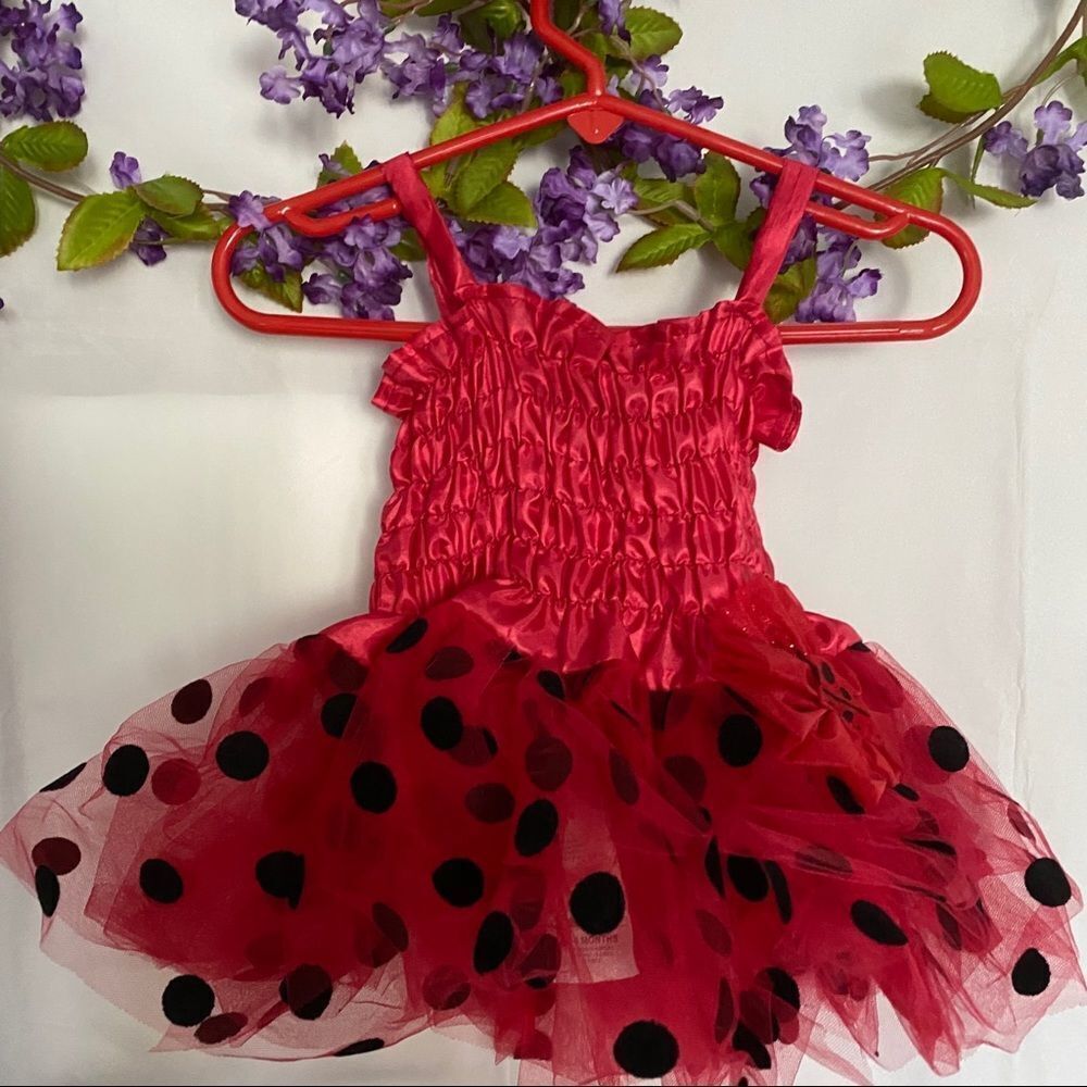 Rubies Lady bug tutu - Picture 5 of 8